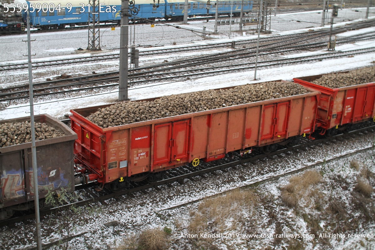 555959004-9_31_Eas.JPG